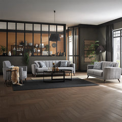 Light grey velvet fabric couch set + stylish sofa design + 3 seater + Nova fabric